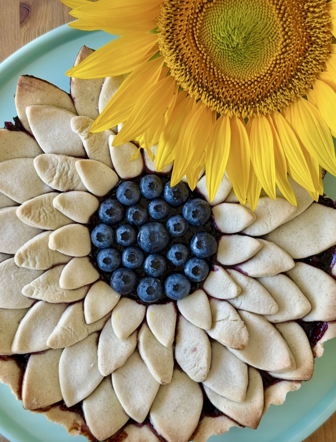 Copertura Per Alimenti Con Motivo Girasole, Protezione Elastica Per Ciotole E Piatti